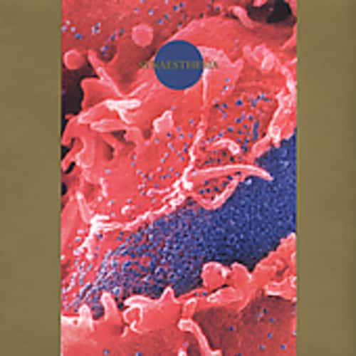 Death Ambient - Synaesthesia   - COMPACT DISCS [CD] price history on PriceWatchPro