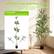 6ft Olive Tree Assembly Guide
Please follow the following specifications to put the same number labels together
For example:
1 ↑ "and" 1 ↓ "are assembled together