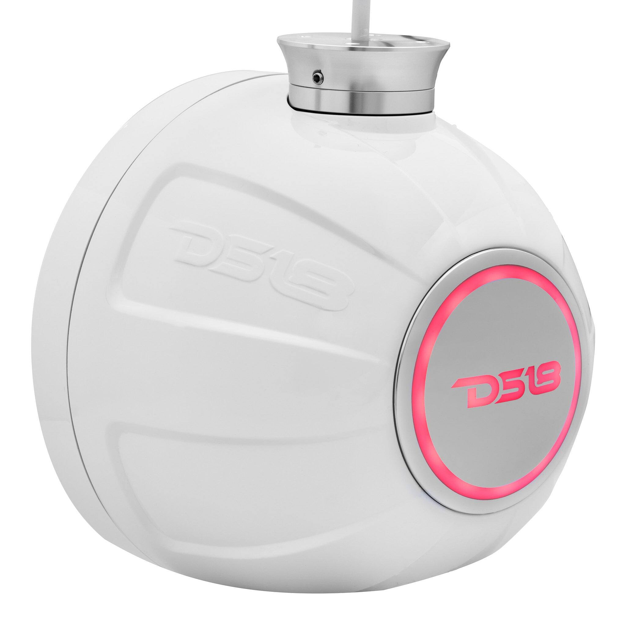 D56 D519
