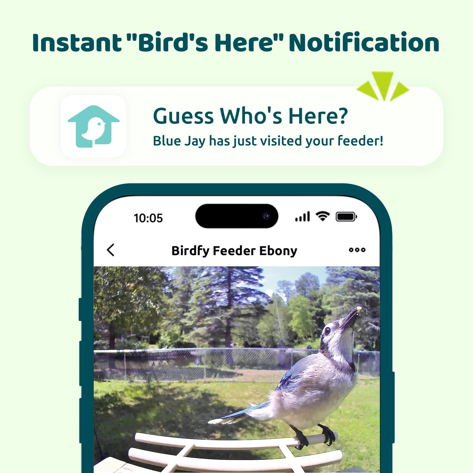 Instant "Bird's Here" Notification  
Guess Who's Here?  
Blue Jay has just visited your feeder!  
10:05  
Birdfy Feeder Ebony