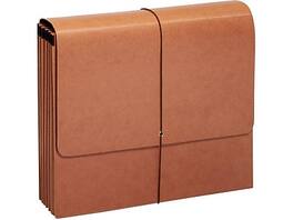 Pendaflex - Moisture Resistant Reinforced Expanding Wallet with Flap & Cord Closure, Letter Size, 10/Box - Brown
