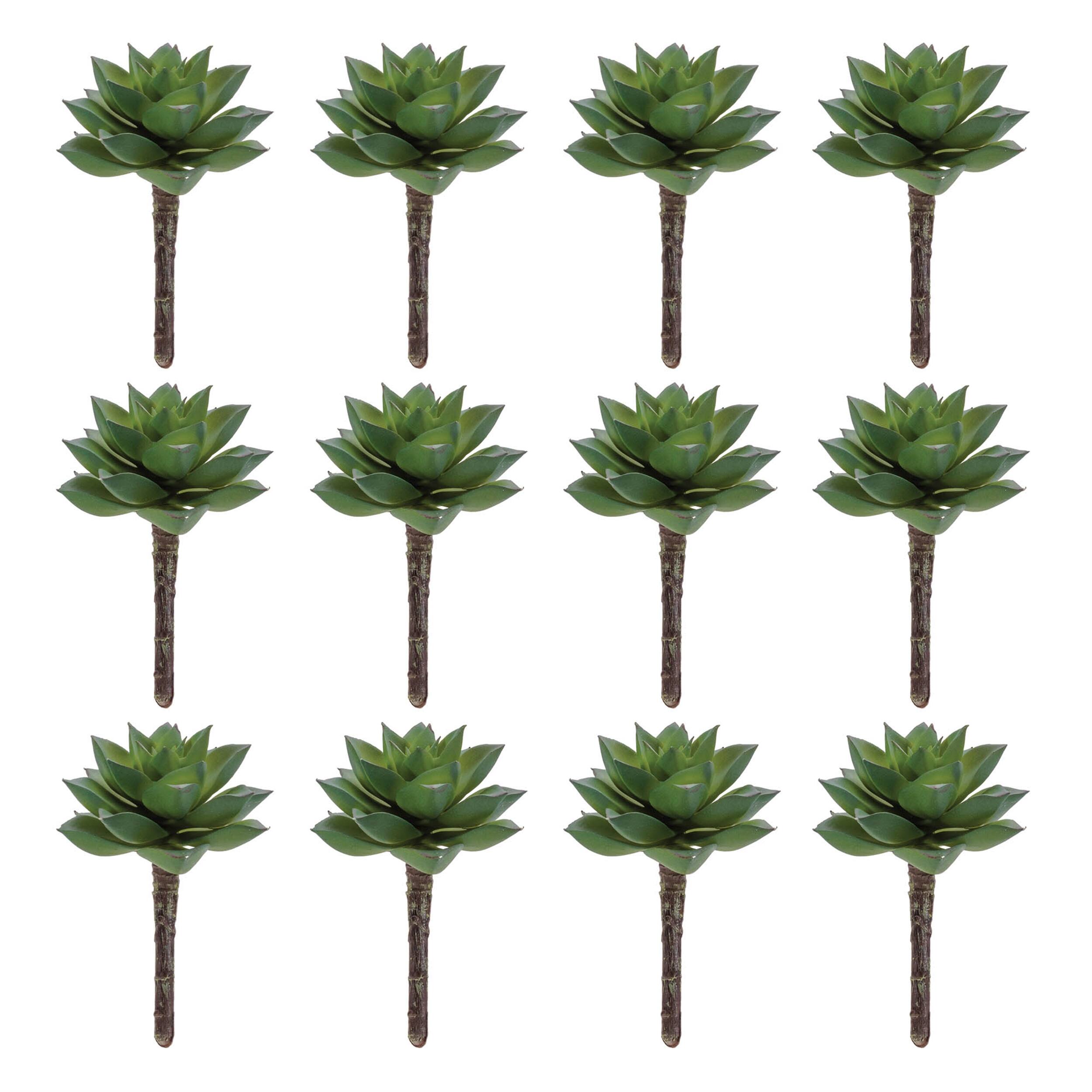 Angle. BreeBe - Succulent Plant Pick (Set of 12) - Green.