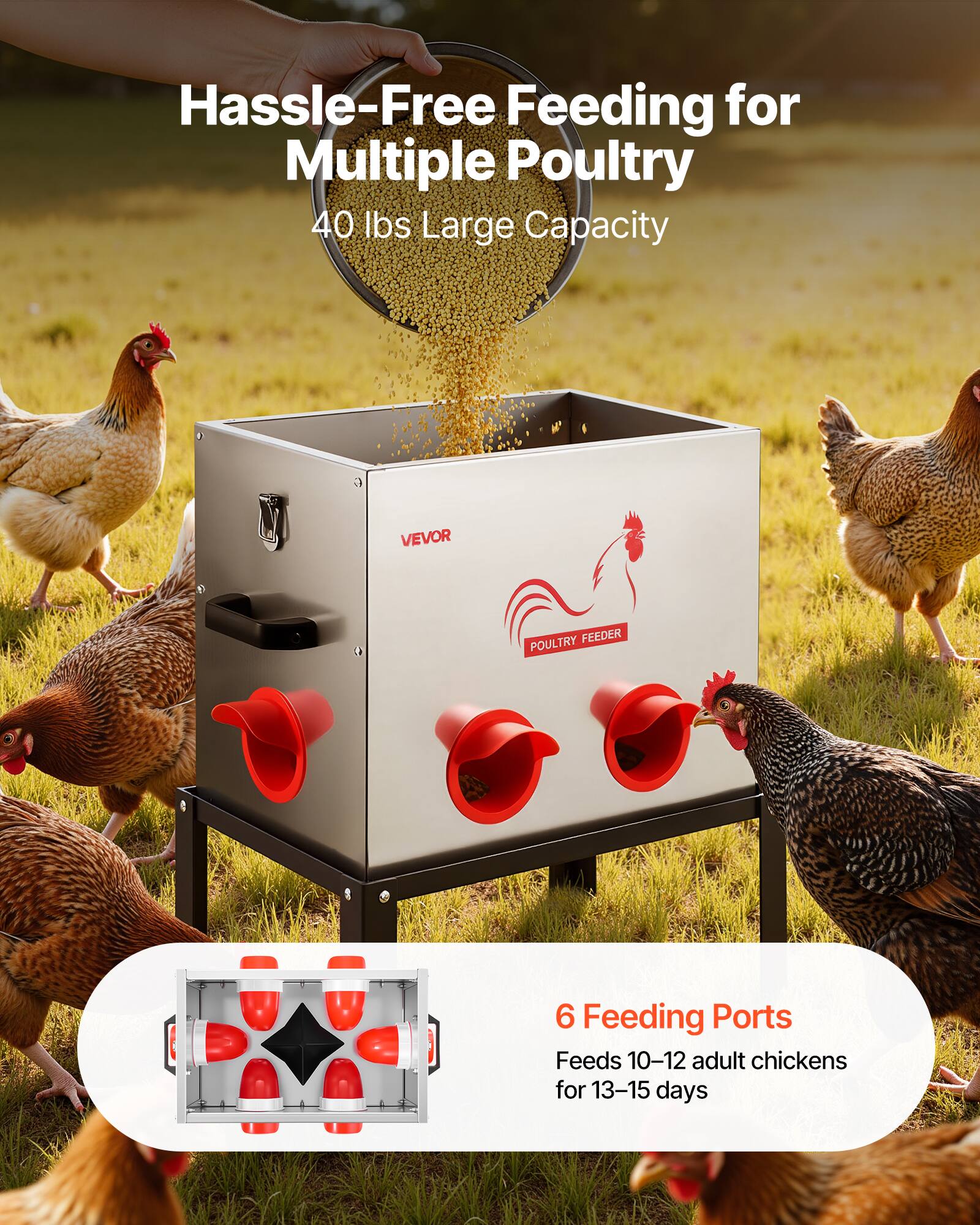 Hassle-Free Feeding for Multiple Poultry  
40 lbs Large Capacity  

6 Feeding Ports  
Feeds 10-12 adult chickens for 13-15 days