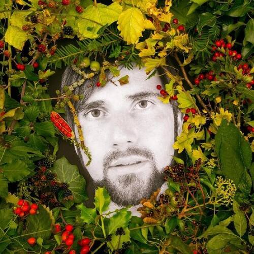 Mikey Collins - Hoick   - VINYL LP price history on PriceWatchPro
