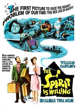 The Spirit Is Willing - DVD