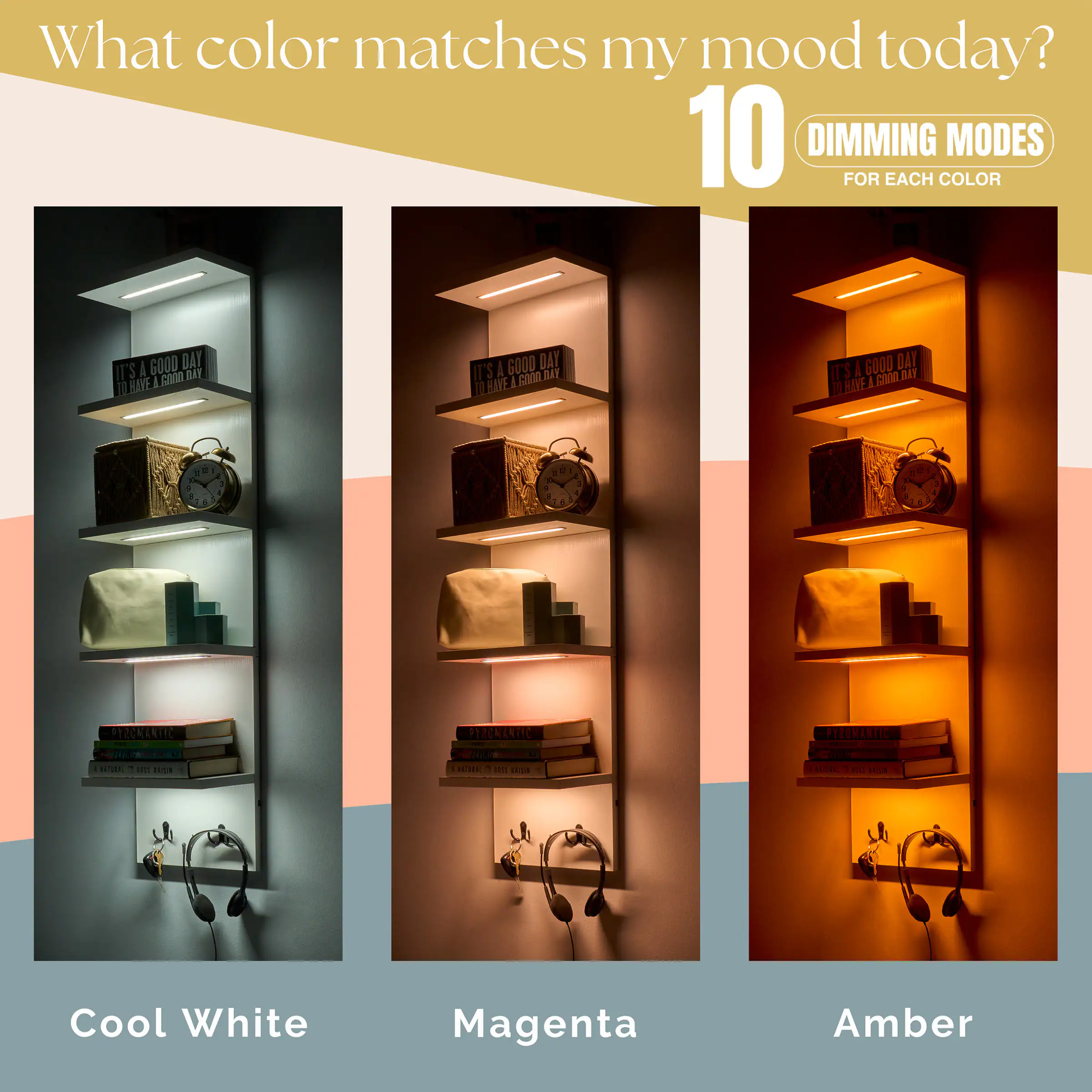 What color matches my mood today?

10 DIMMING MODES FOR EACH COLOR

Cool White

Magenta

Amber