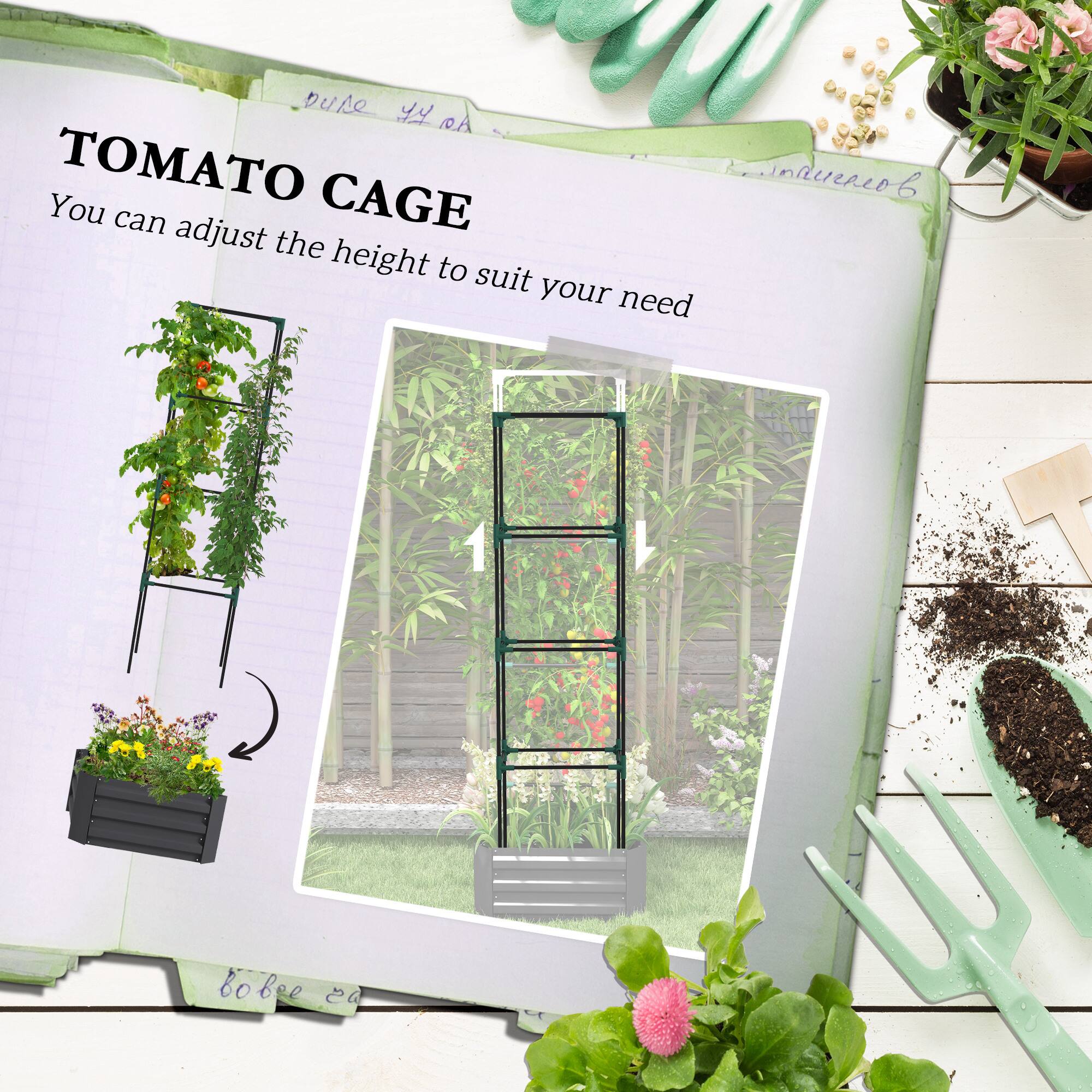 TOMATO CAGE
You can adjust the height to suit your need