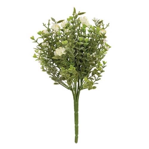 BreeBe - Eden's Gate Bush - Multi