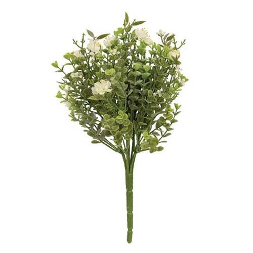 Front. BreeBe - Eden's Gate Bush - Multi.