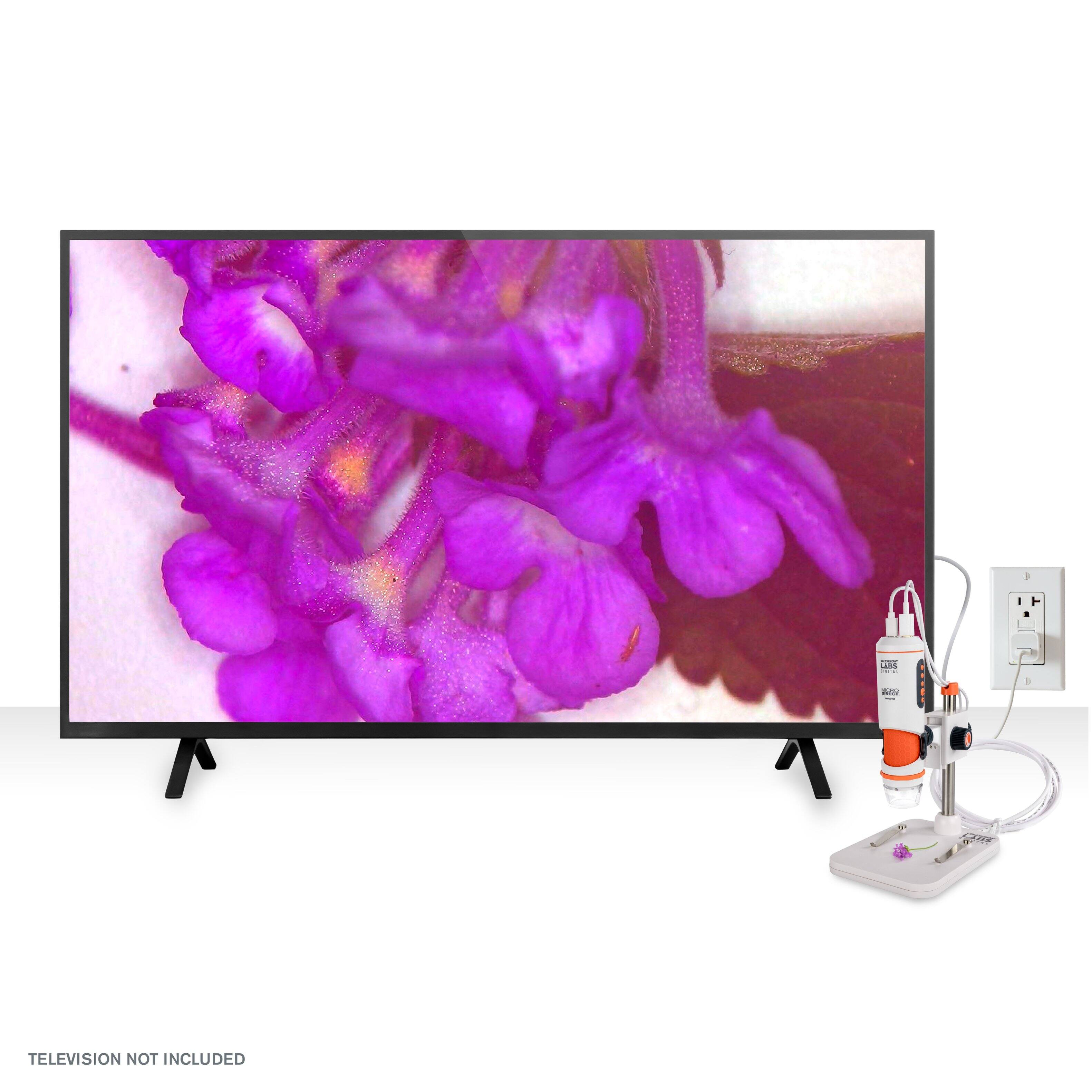 TELEVISION NOT INCLUDED