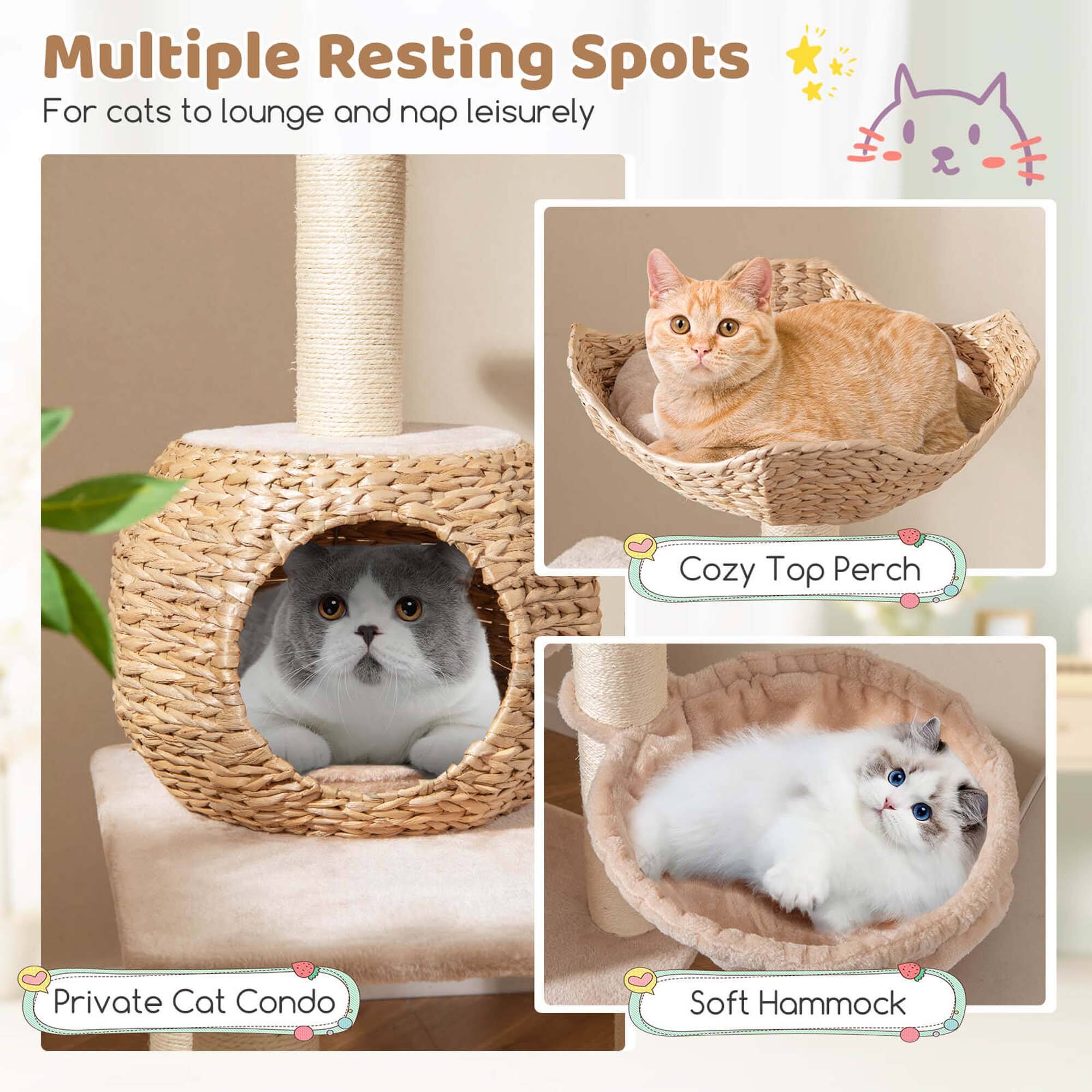 Multiple Resting Spots

For cats to lounge and nap leisurely

Cozy Top Perch

Private Cat Condo

Soft Hammock