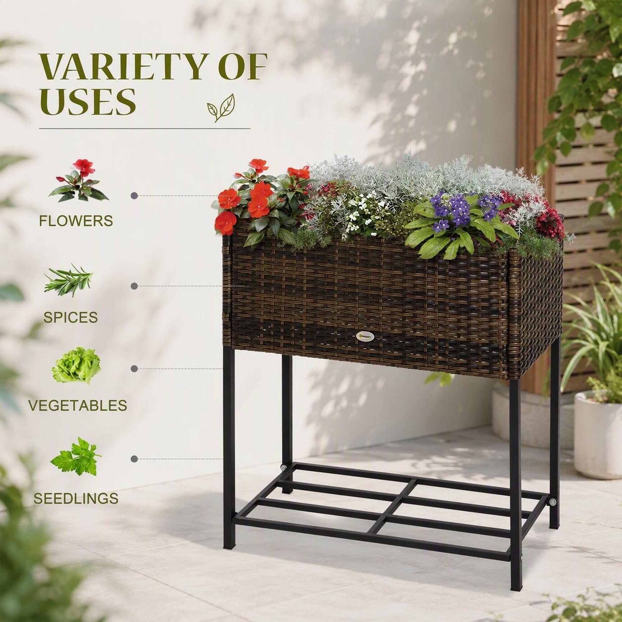 VARIETY OF USES
- FLOWERS
- SPICES
- VEGETABLES
- SEEDLINGS