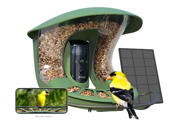 Bird Feeder Phone Not Included
