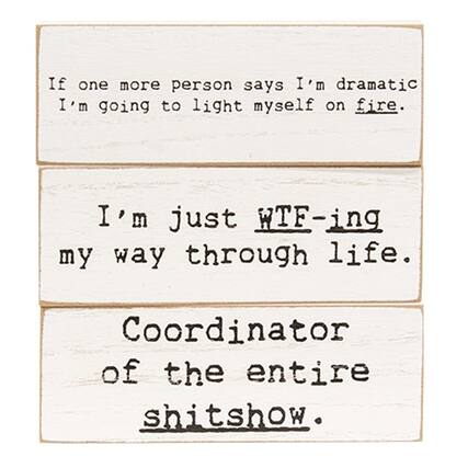 If one more person says I'm dramatic I'm going to light myself on fire.
I'm just WTF-ing my way through life.
Coordinator of the entire shitshow.
