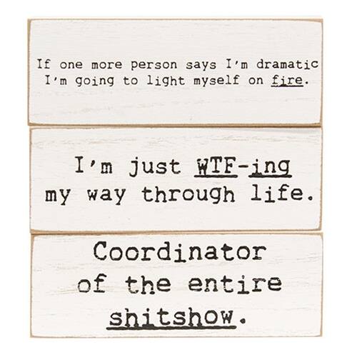 If one more person says I'm dramatic I'm going to light myself on fire.  
I'm just WTF-ing my way through life.  
Coordinator of the entire shitshow.