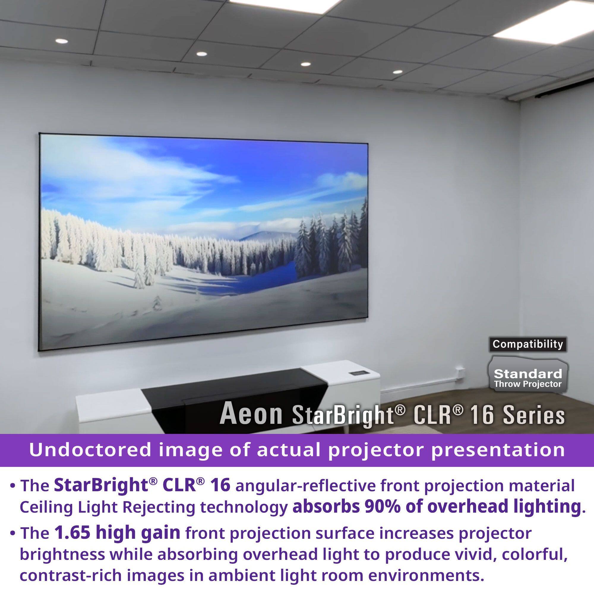 Compatibility  
Standard Throw Projector  

Aeon StarBright® CLR® 16 Series  

Undoctored image of actual projector presentation  

- The StarBright® CLR® 16 angular-reflective front projection material Ceiling Light Rejecting technology absorbs 90% of overhead lighting.  
- The 1.65 high gain front projection surface increases projector brightness while absorbing overhead light to produce vivid, colorful, contrast-rich images in ambient light room environments.