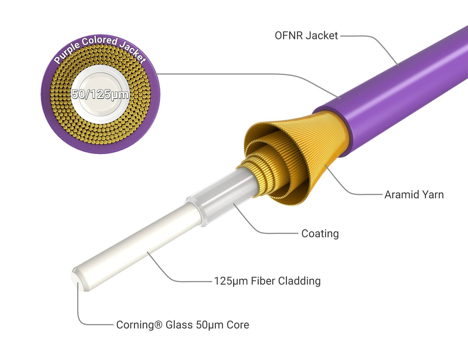 Colored Purple Jacket  
OFNR Jacket  
50/125µm  
Aramid Yarn  
Coating  
125µm Fiber Cladding  
Corning® Glass 50µm Core