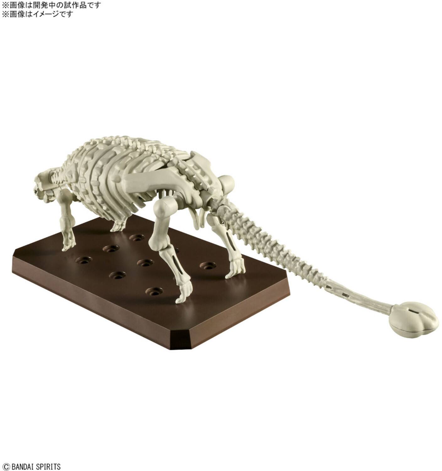 The text on the image is:

- "BANDAI SPIRITS"
- "※画像は開発中の試作品です"
- "※画像はイメージです"
- "© BANDAI SPIRITS"