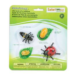Safari Ltd. - Life Cycle Of A Ladybug Toy