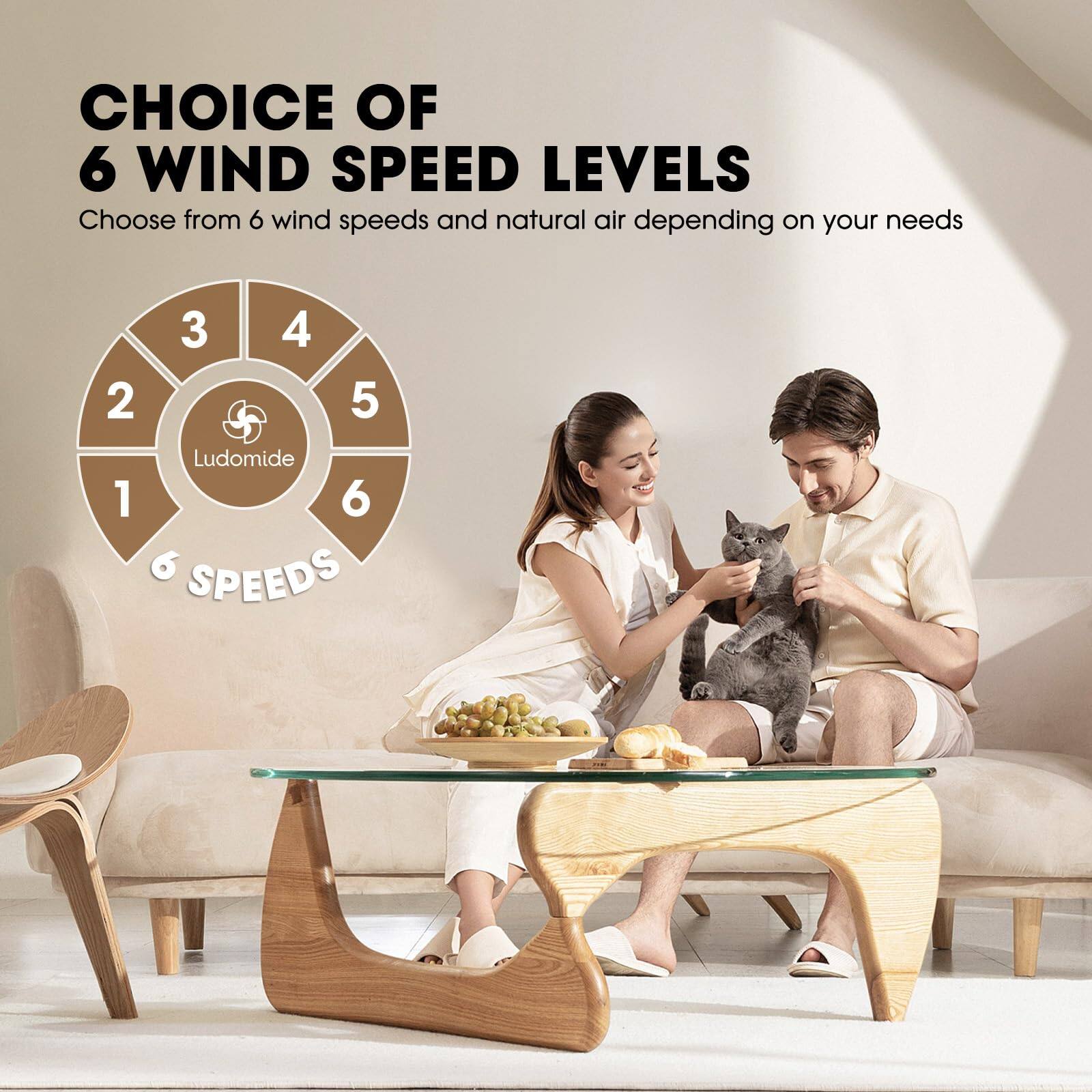 CHOICE OF 6 WIND SPEED LEVELS  
Choose from 6 wind speeds and natural air depending on your needs  

6 SPEEDS  

Ludomide
