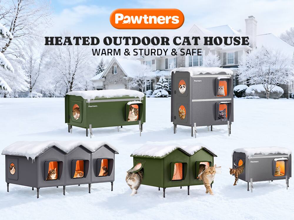Pawtners 40