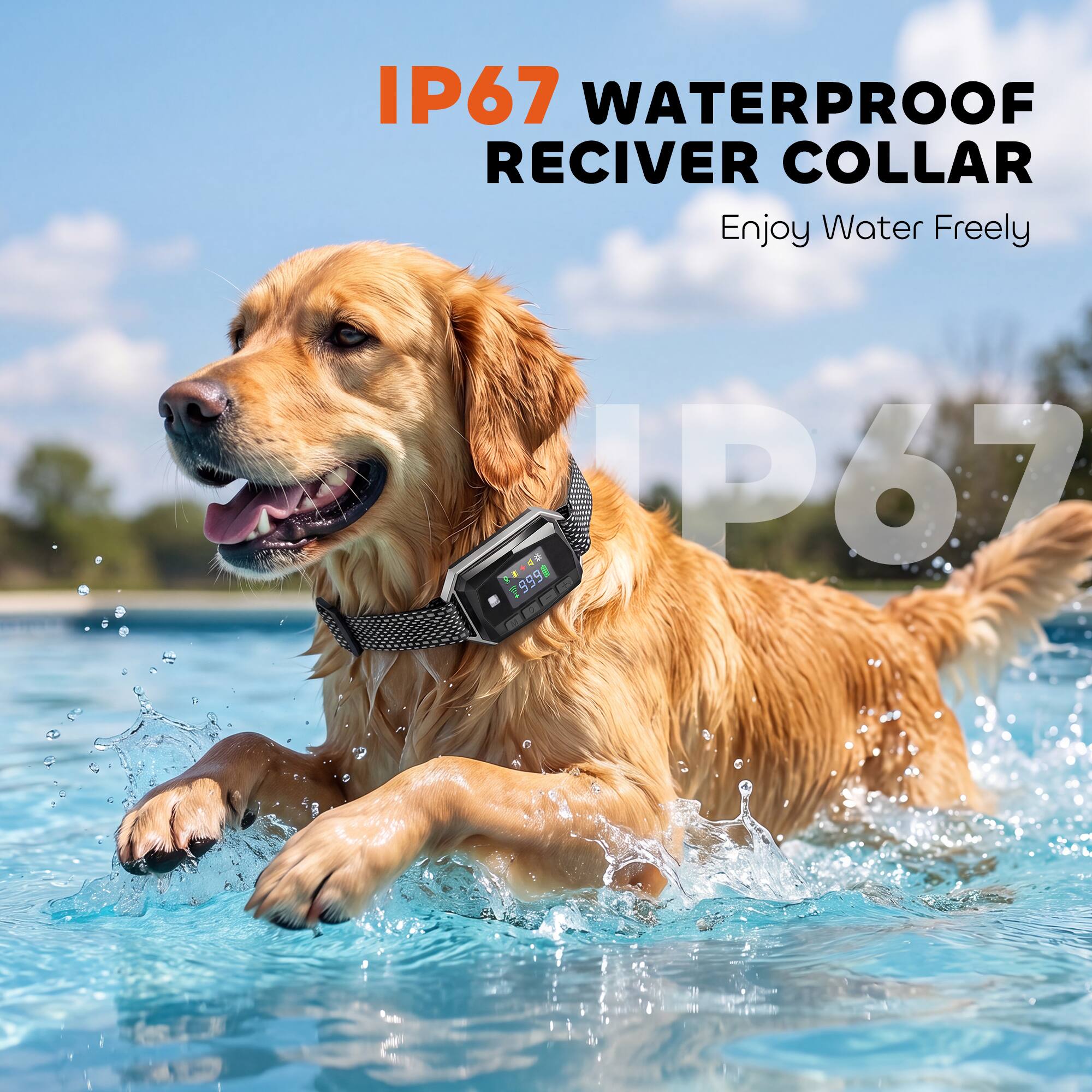 IP67 WATERPROOF RECEIVER COLLAR  
Enjoy Water Freely  
P67 999