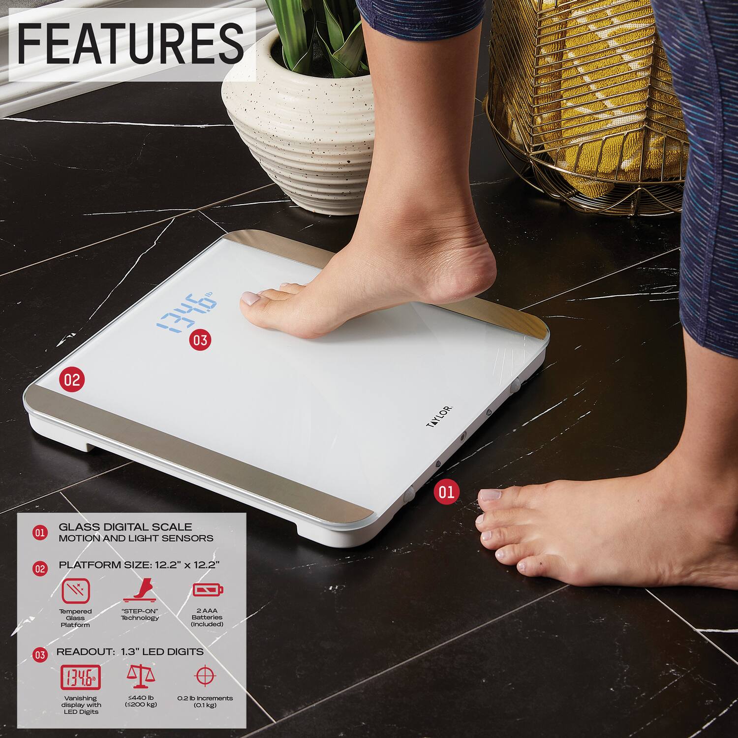 FEATURES

01 GLASS DIGITAL SCALE  
MOTION AND LIGHT SENSORS

02 PLATFORM SIZE: 12.2" x 12.2"  
Tempered Glass Platform  
STEAD-ON Technology  
2 AAA Batteries Included

03 READOUT: 1.3" LED DIGITS  
Vanishing Display with LED Lights  
5440 g (12 lb)  
0.1 lb Increments