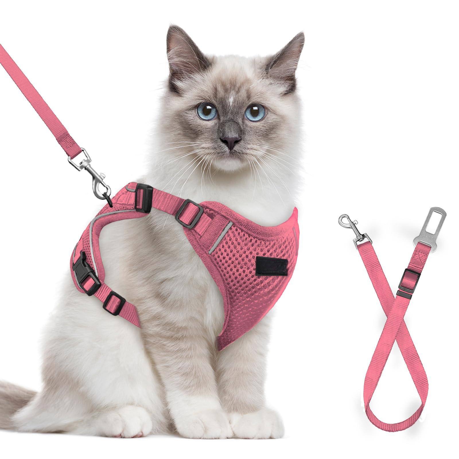 Pet Supplies : Rttochfy Cat Harness And Leash Set, Adjustable And Reflective Cat Vest, Escape Proof Kitten