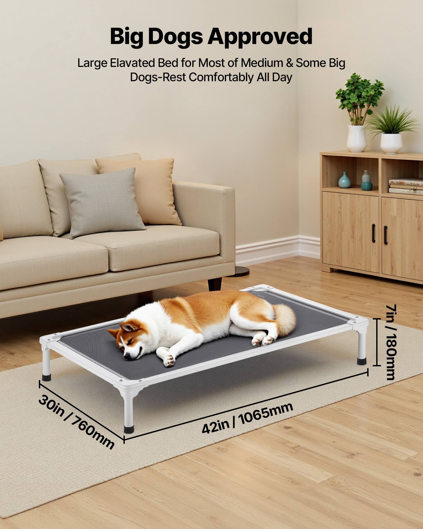 Big Dogs Approved

Large Elevated Bed for Most of Medium & Some Big Dogs - Rest Comfortably All Day

30in / 760mm  
42in / 1065mm  
7in / 180mm