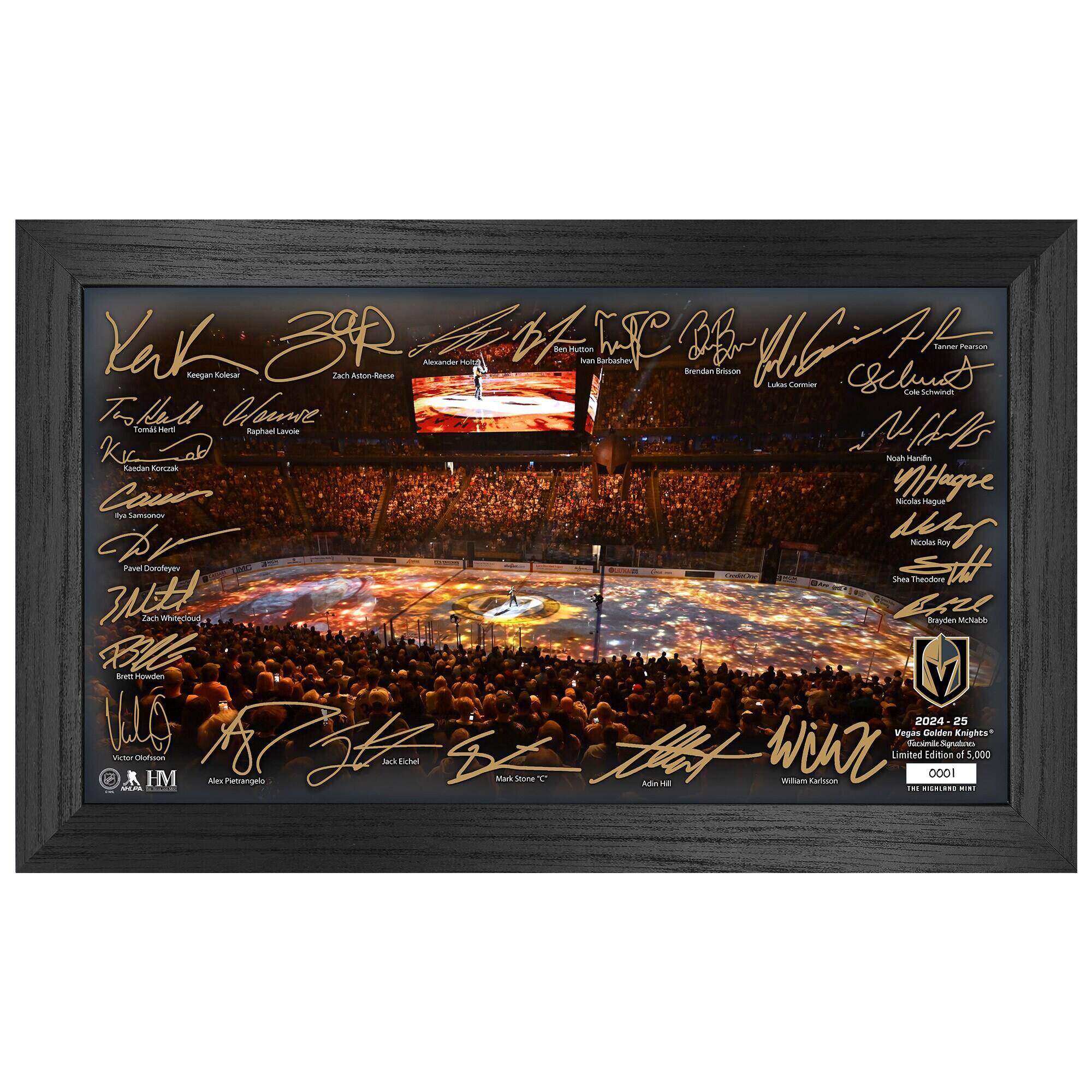 Vegas Golden Knights 2024-2025 Signature Rink Print