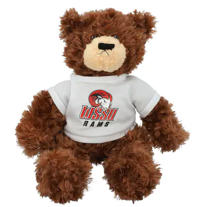 Front. Jardine - Winston-Salem State Rams Brandon Bear Plush - Brown.