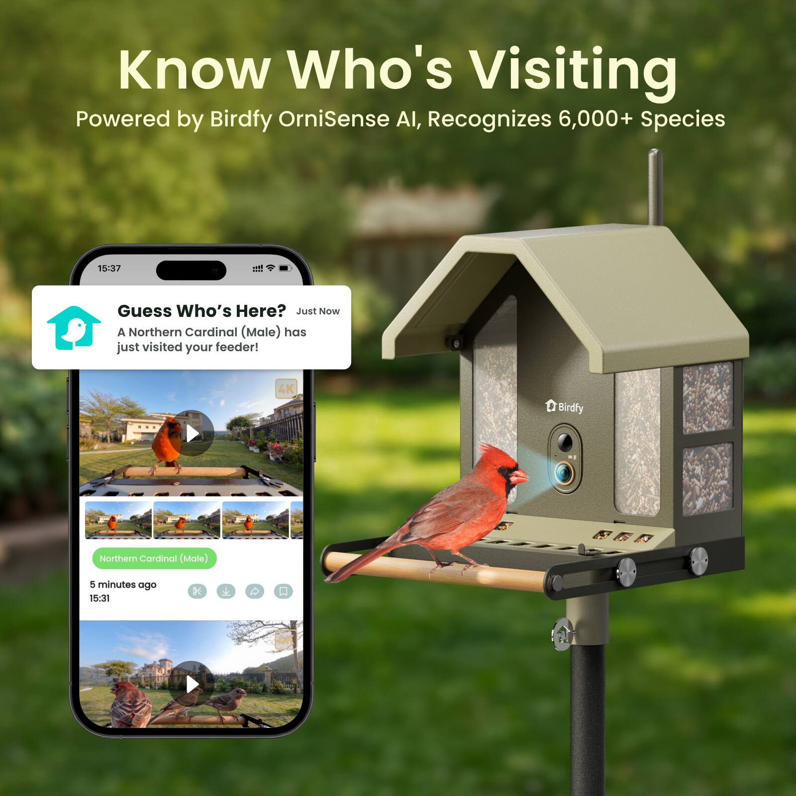 Know Who's Visiting  
Powered by Birdfy OrniSense AI, Recognizes 6,000+ Species  

Guess Who's Here?  
Just Now  
A Northern Cardinal (Male) has just visited your feeder!  

4K Birdfy  
Northern Cardinal (Male)  
5 minutes ago  
15:31