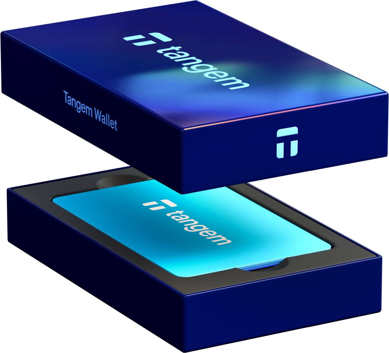 IT tangem Tangem Wallet T IT tengem