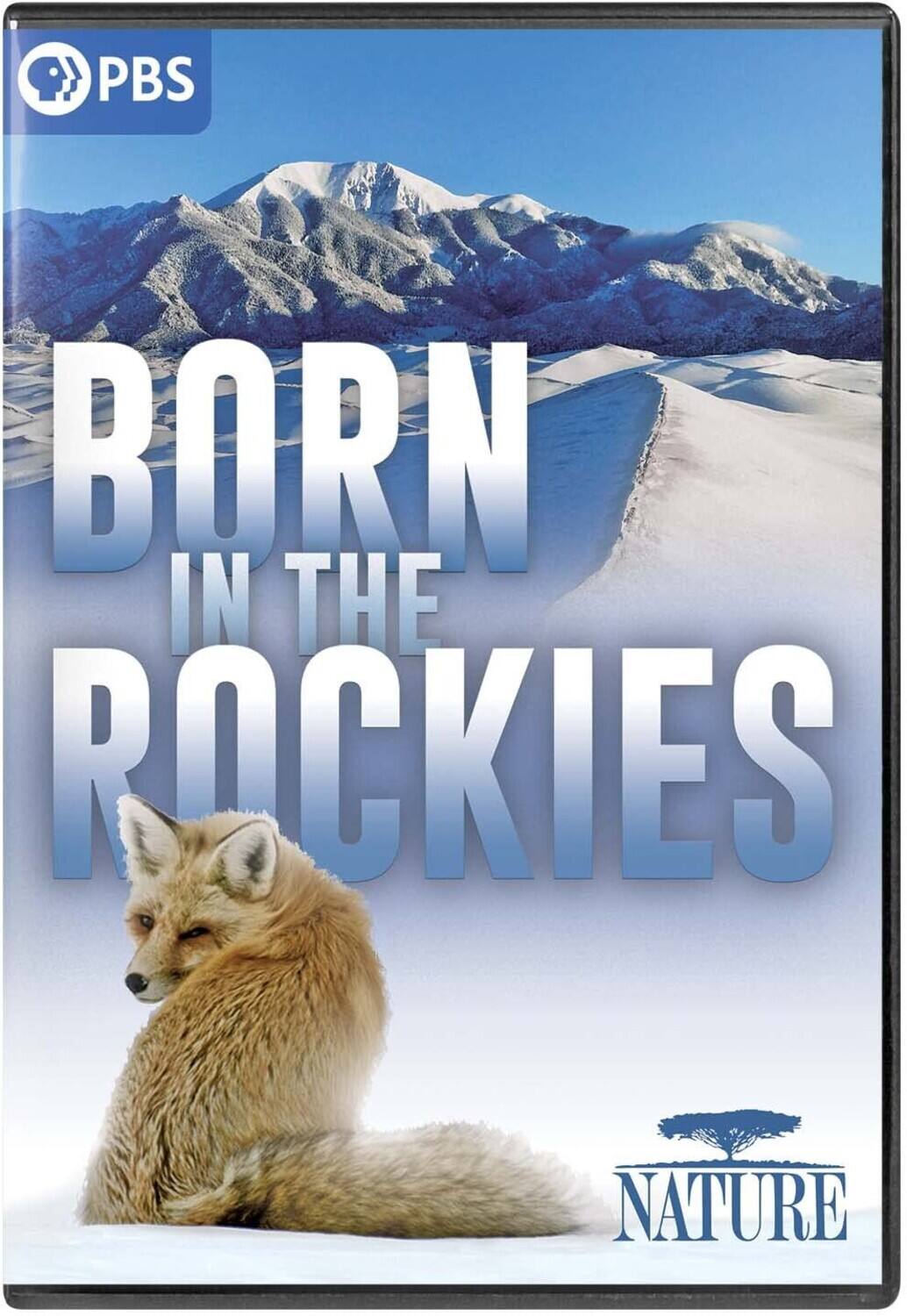 Front. Nature: Born In The Rockies   - DVD.