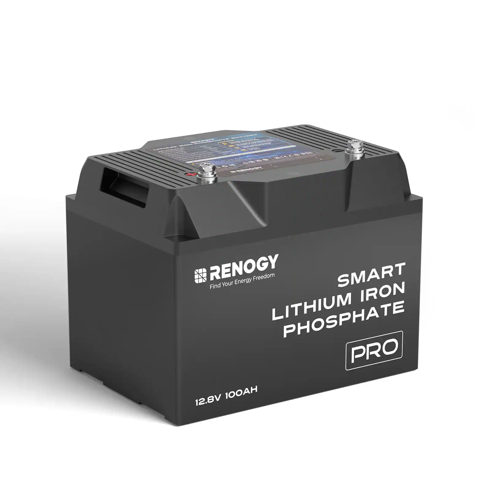 The text on the image reads: "RENOGY Energy Freedom SMART Find Your IRON LITHIUM PHOSPHATE PRO 100AH 12.8V."
