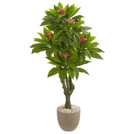 BreeBe - 5' Plumeria Tree in Decorative Planter UV Resistant - Multicolor