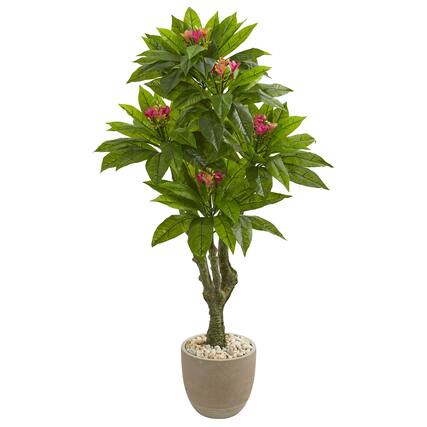 Front. BreeBe - 5' Plumeria Tree in Decorative Planter UV Resistant - Multicolor.