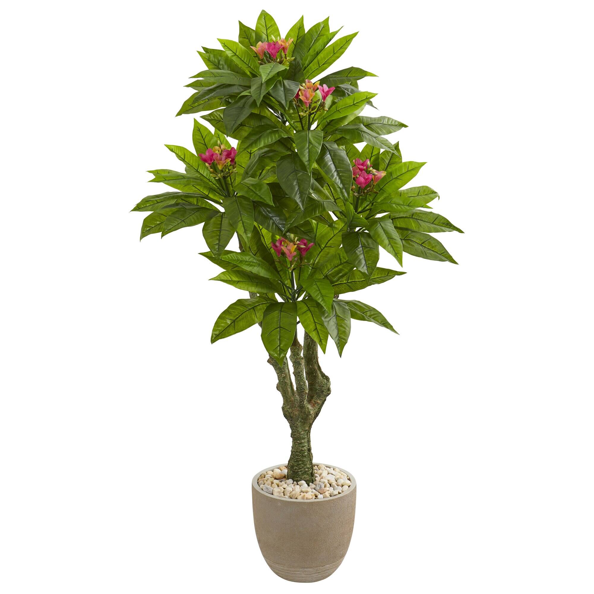 Front. BreeBe - 5' Plumeria Tree in Decorative Planter UV Resistant - Multicolor.