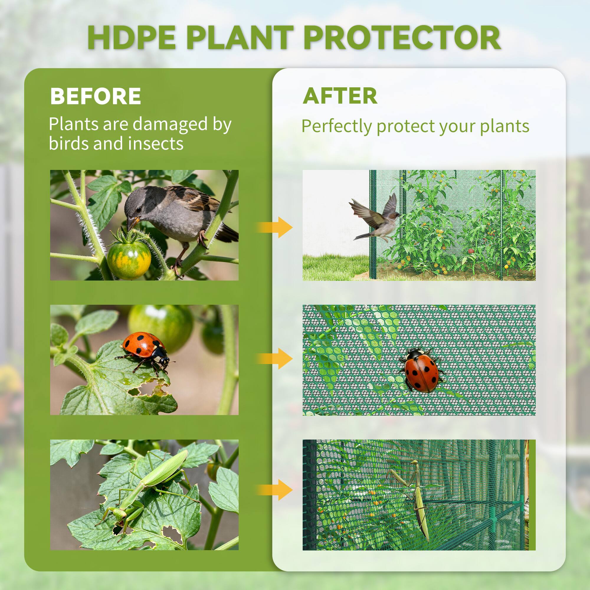 HDPE PLANT PROTECTOR

BEFORE  
Plants are damaged by birds and insects

AFTER  
Perfectly protect your plants