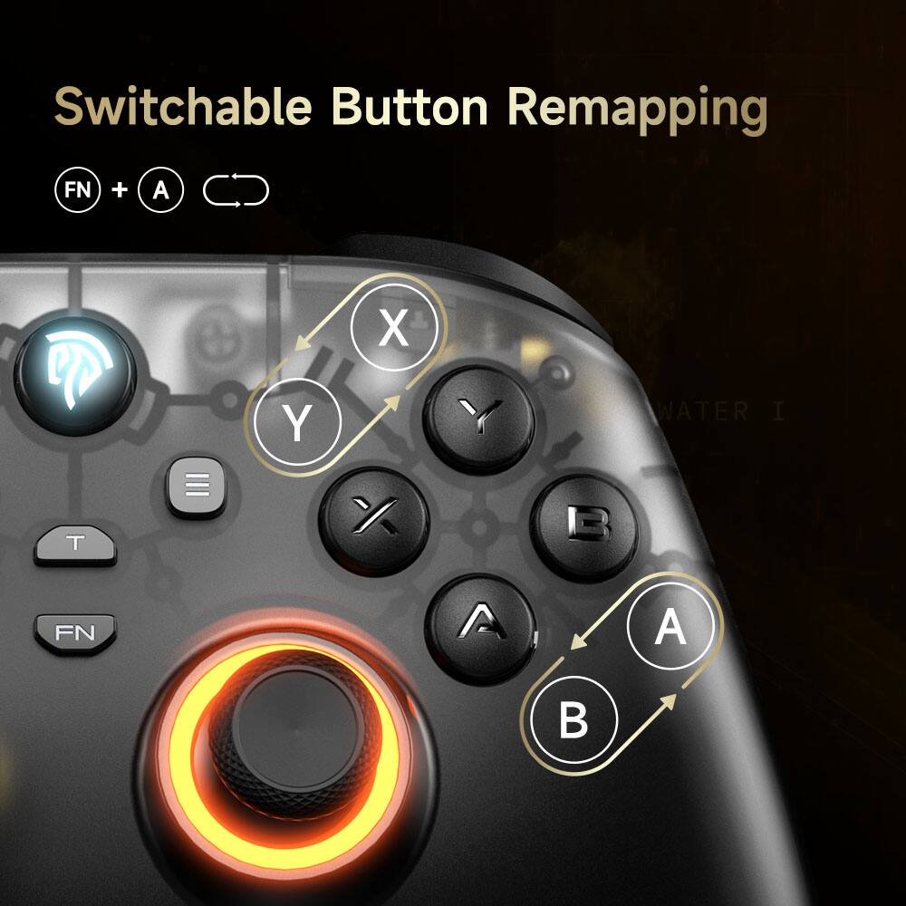 Switchable Button Remapping

FN + A

X ↔ Y

A ↔ B