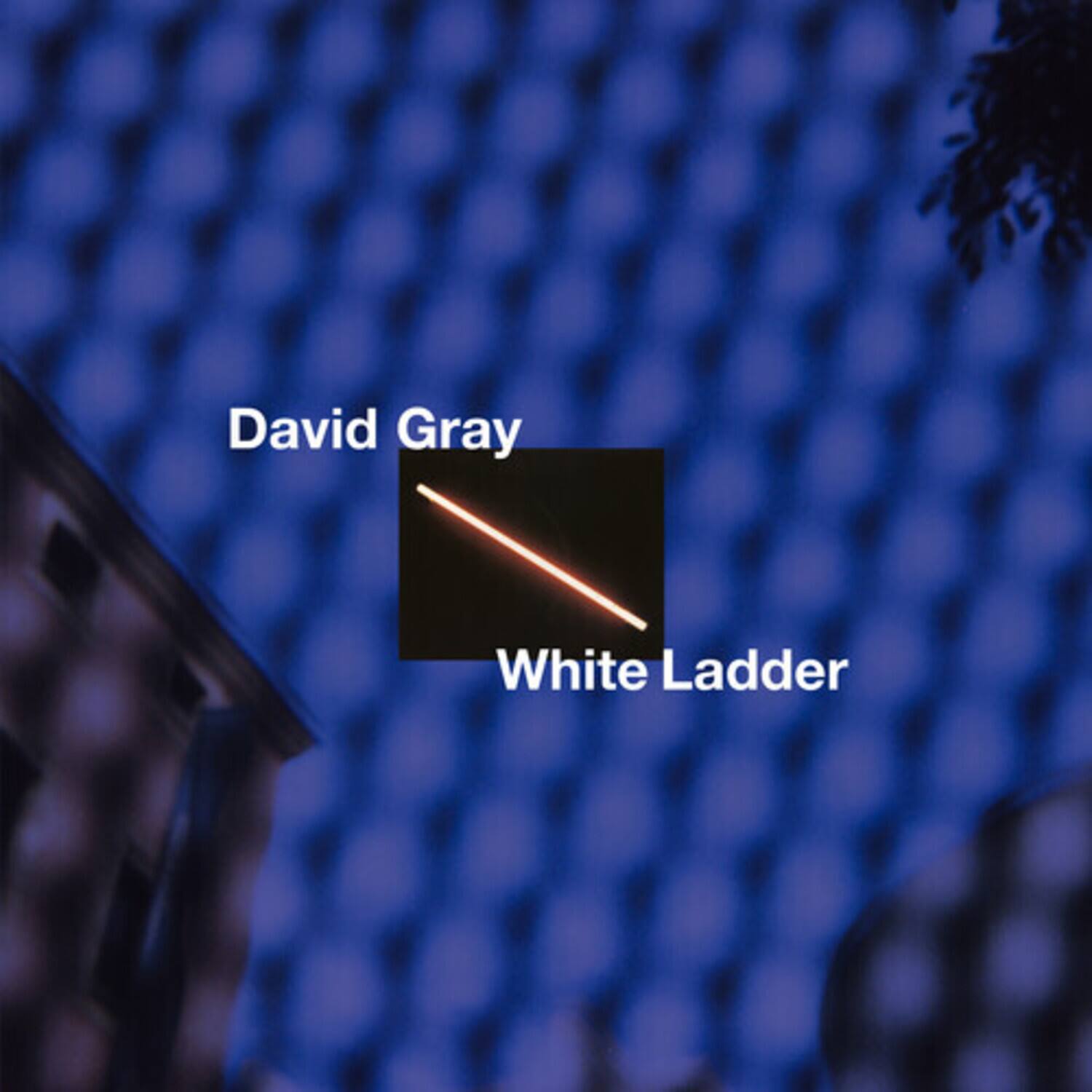David Gray  
White Ladder