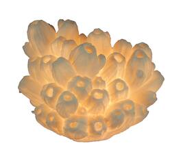 Zeckos - Faux Tube Coral Decorative Coastal Art Accent Lamp - White