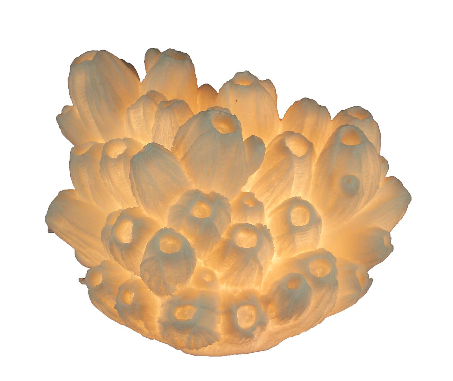Front. Zeckos - White Faux Tube Coral Decorative Coastal Art Accent Lamp - White.