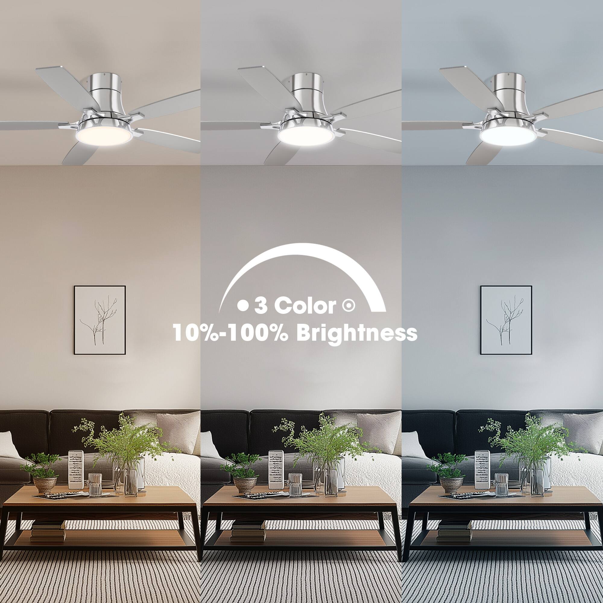 3 Color  
10%-100% Brightness