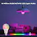 16 Million RGBCW/WW LED Light Bulbs
SMART LIGHT BULB
Wi-Fi