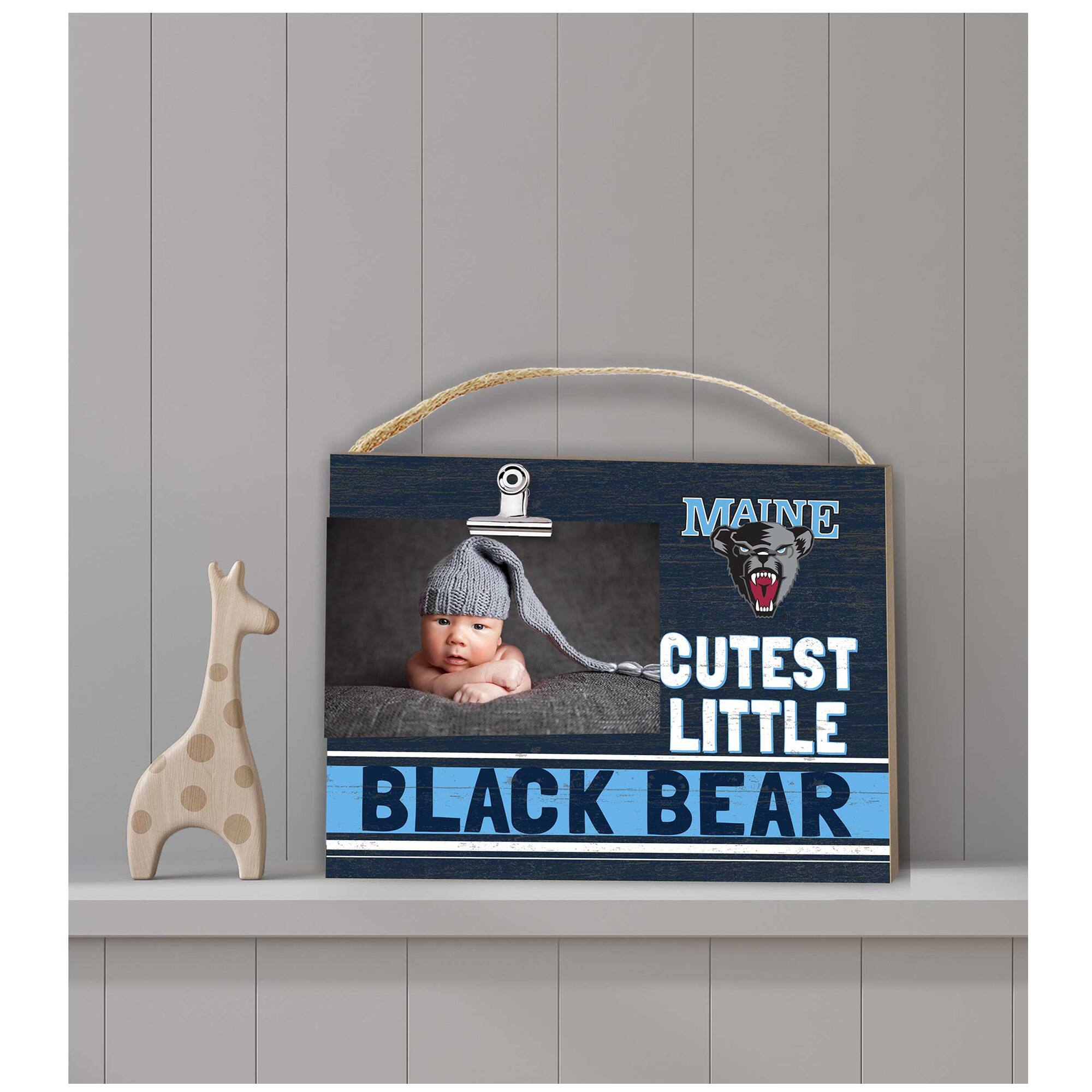 MAINE  
CUTEST LITTLE BLACK BEAR