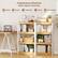 4 Spacious Shelves Neatly organize everything Books Photos Stationery Plants Decorations
