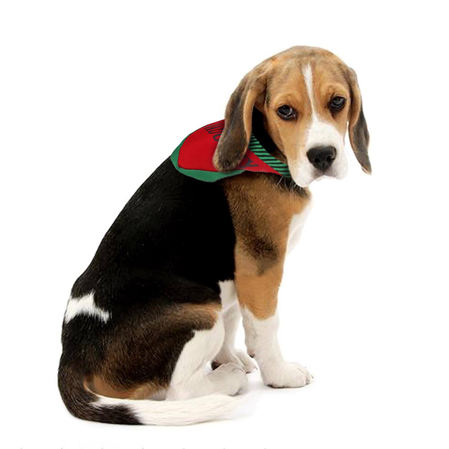 Angle. Dyno - Dyno Pet Costume 2 pk (Case of 12) - Multicolored.