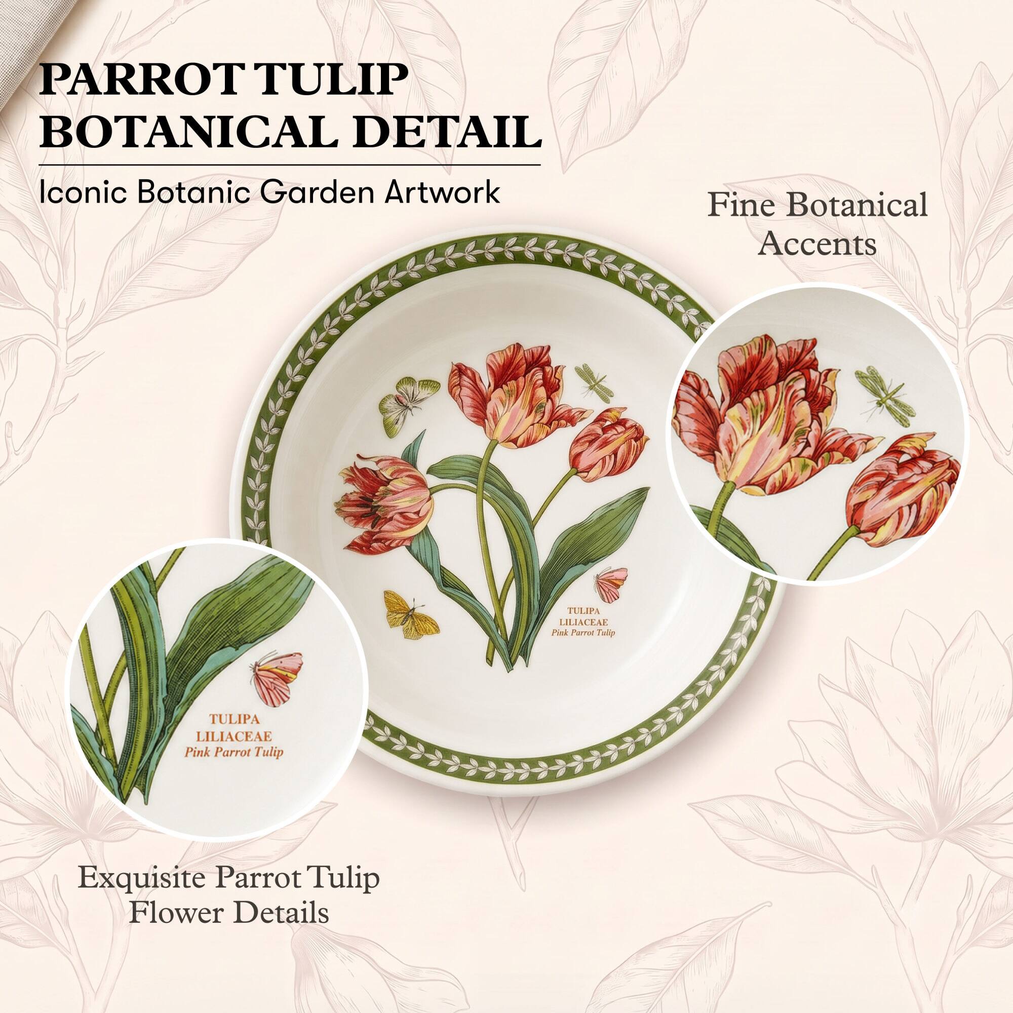 PARROT TULIP BOTANICAL DETAIL  
Iconic Botanic Garden Artwork  
Fine Botanical Accents  
TULIPA LILIACEAE Pink Parrot Tulip  
Exquisite Parrot Tulip Flower Details