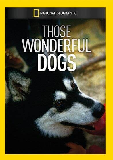 Those Wonderful Dogs - DVD